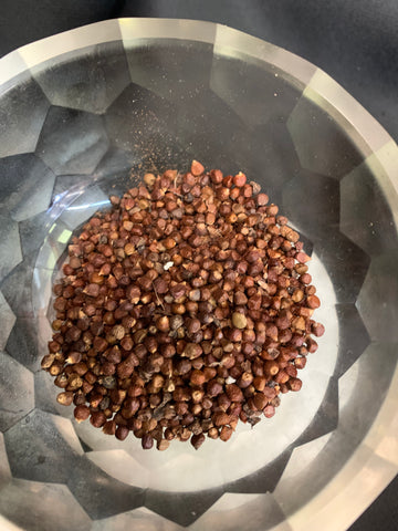 Grains of paradise